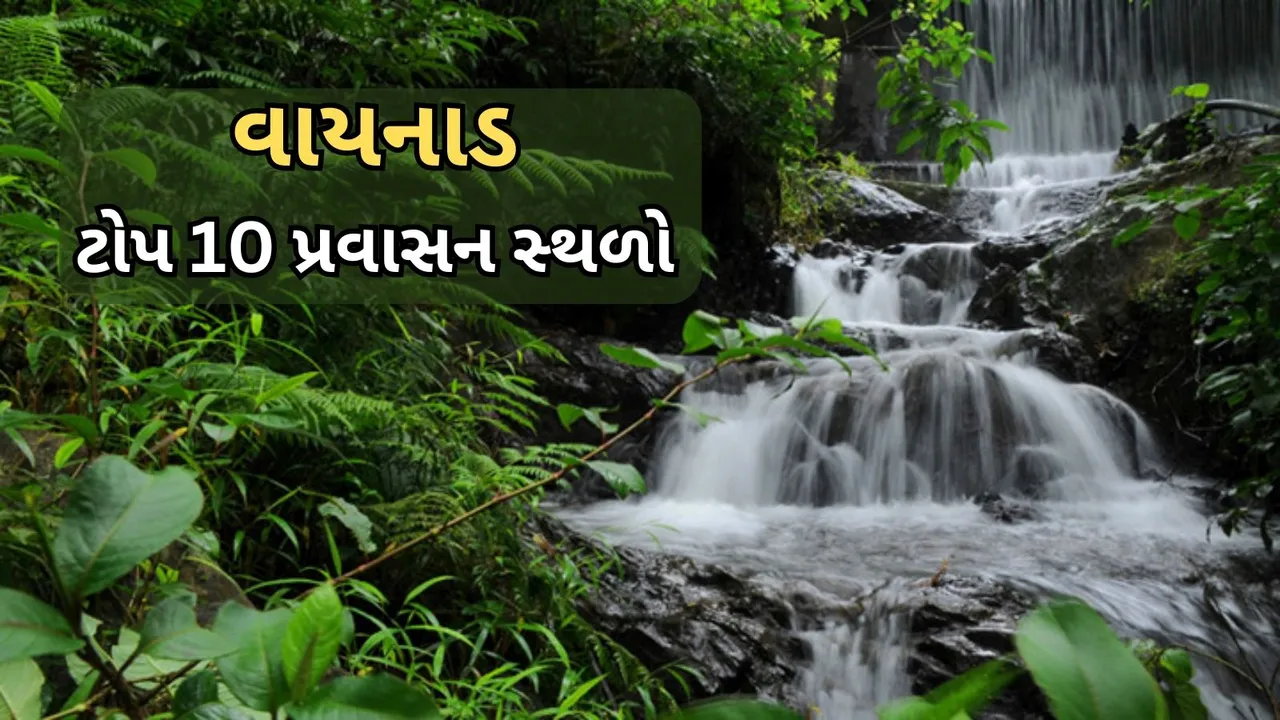 Wayanad Top 10 Tourist Places