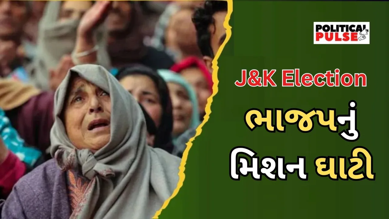 Jammu Kashmir Election 2024 BJP Plan