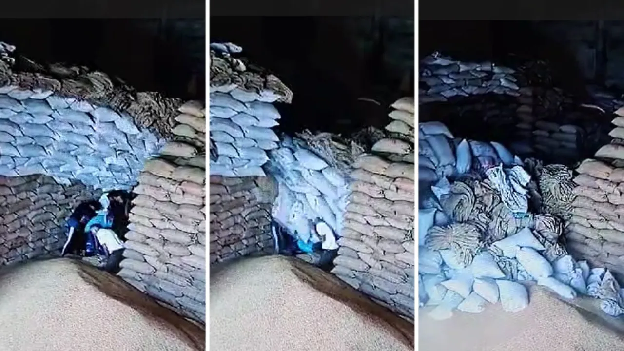 Amreli APMC Market Yard Inciden Video Viral | Amreli APMC | Video Viral