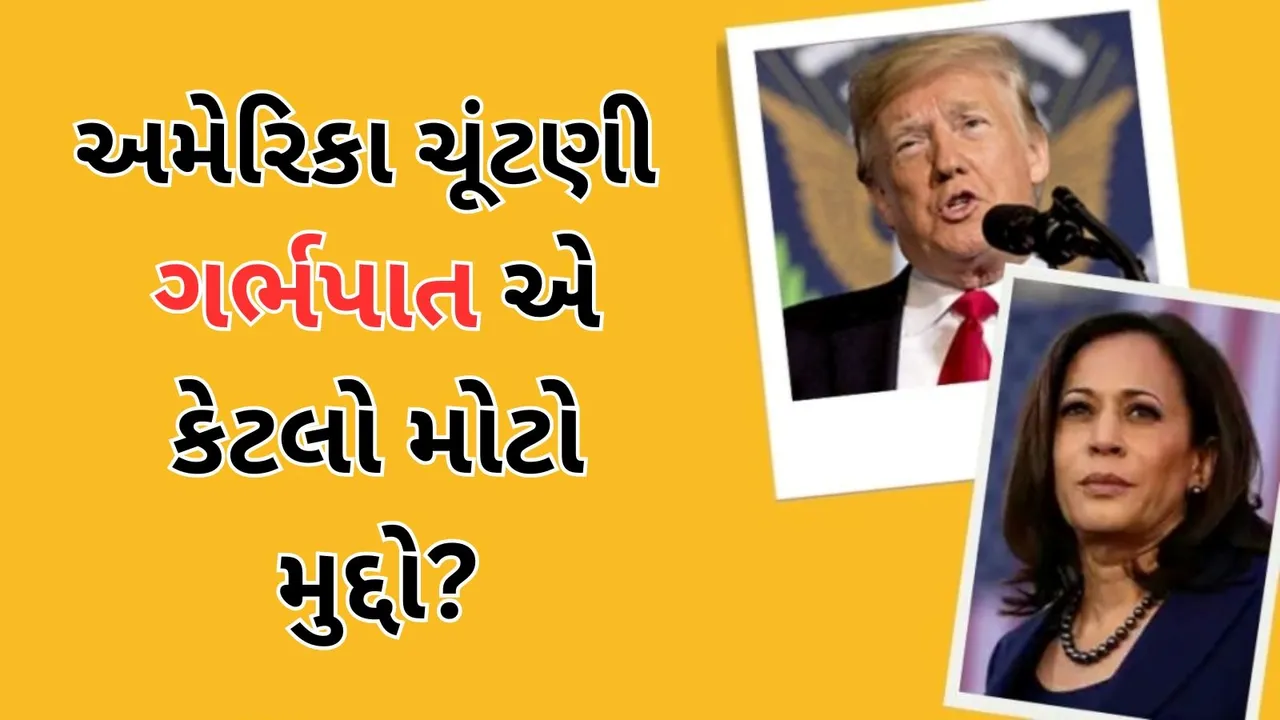 US America Election 2024 Abortion Issue