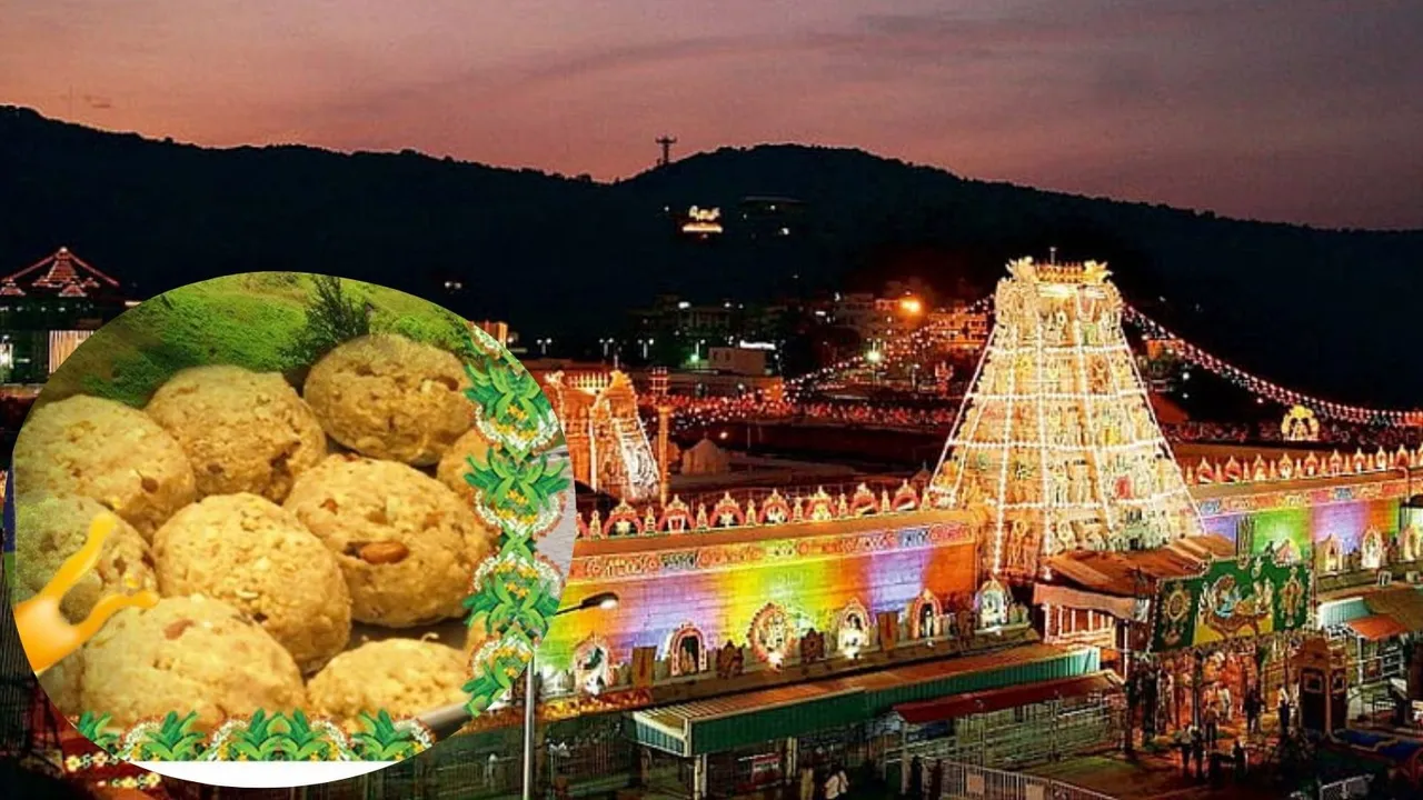 tirupati laddu row | tirupati temple laddu ghee row | tirupati laddu ghee row | tirupati laddu row | beef in tirupati laddu | tirupati laddu animal fat row