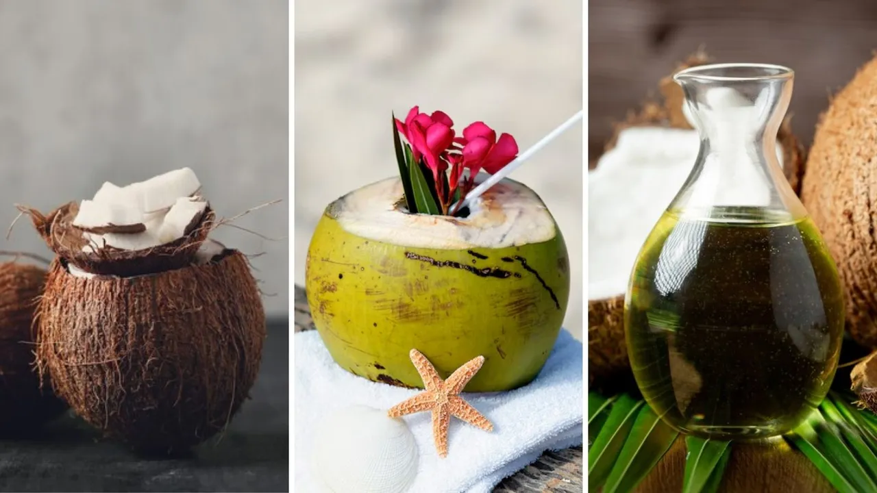 world coconut day | coconut water | coconut oil | coconut | health benefits coconut | coconut consume benefits