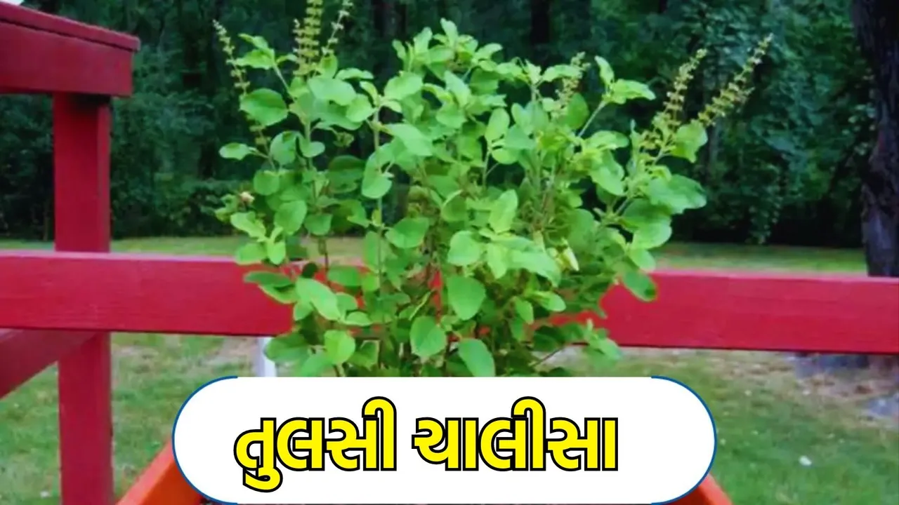 તુલસી ચાલીસાના પાઠ, Tulsi Chalisa Lyrics