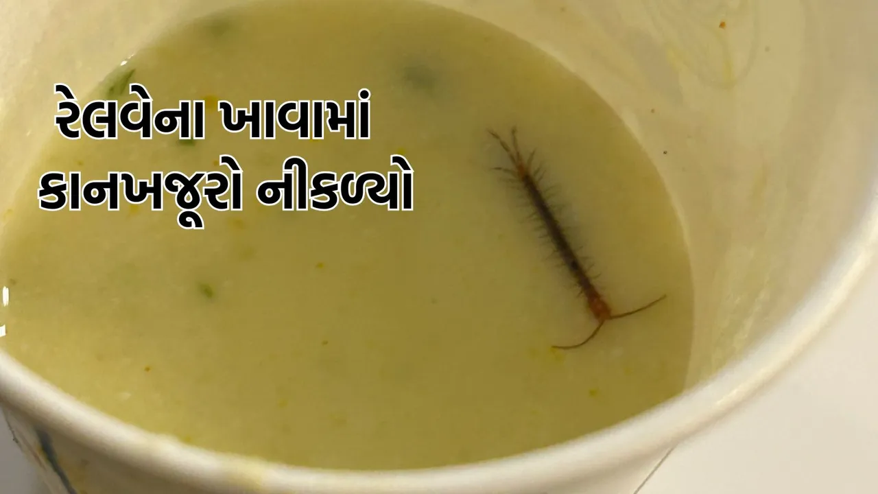 centipede in IRCTC meal, centipede found in IRCTC meal,