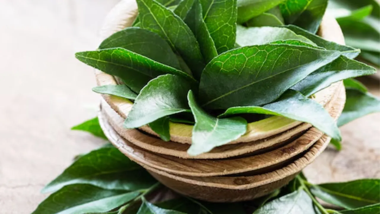 curry leaves benefits