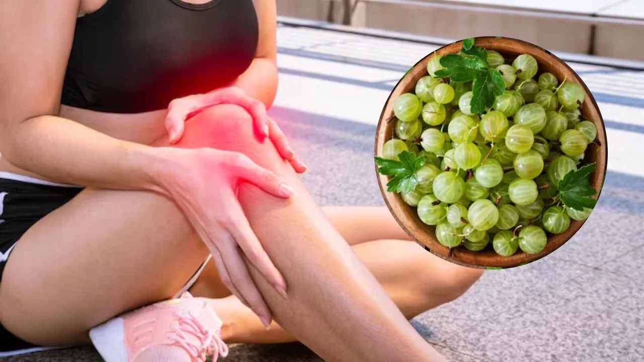 Amla Benefits | Uric Acid Control Tips
