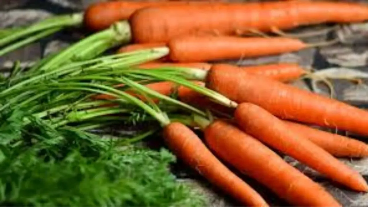 Carrot, Carrot Buying Tips