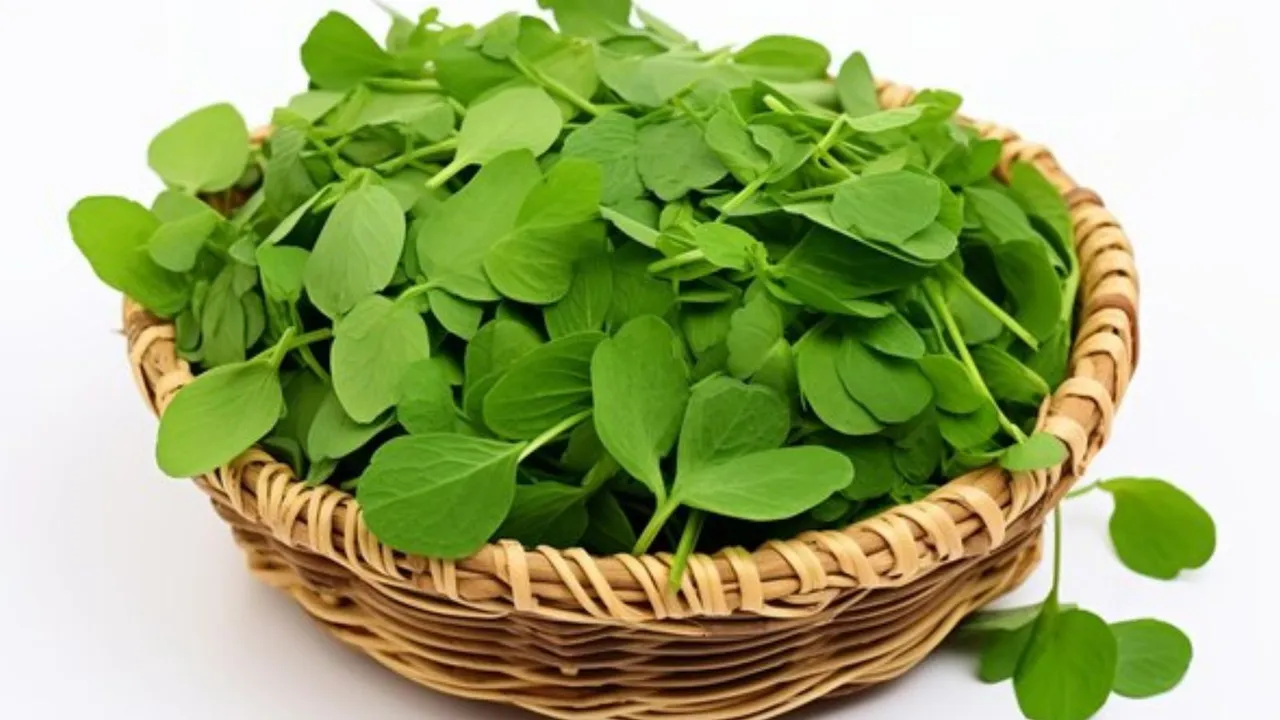 Fenugreek Leaves Benefits