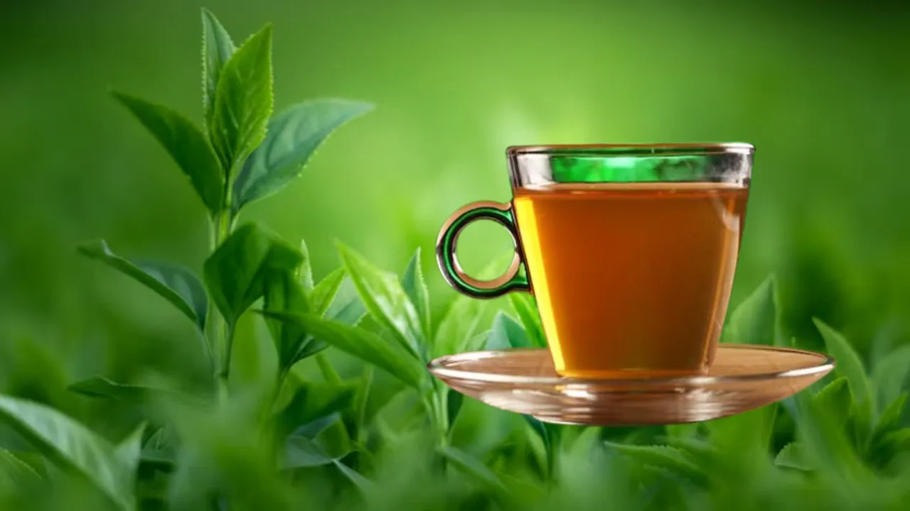 Green Tea | Health tips of Green Tea | Green Tea benefits | Green Tea Side Effects | Best time for green tea