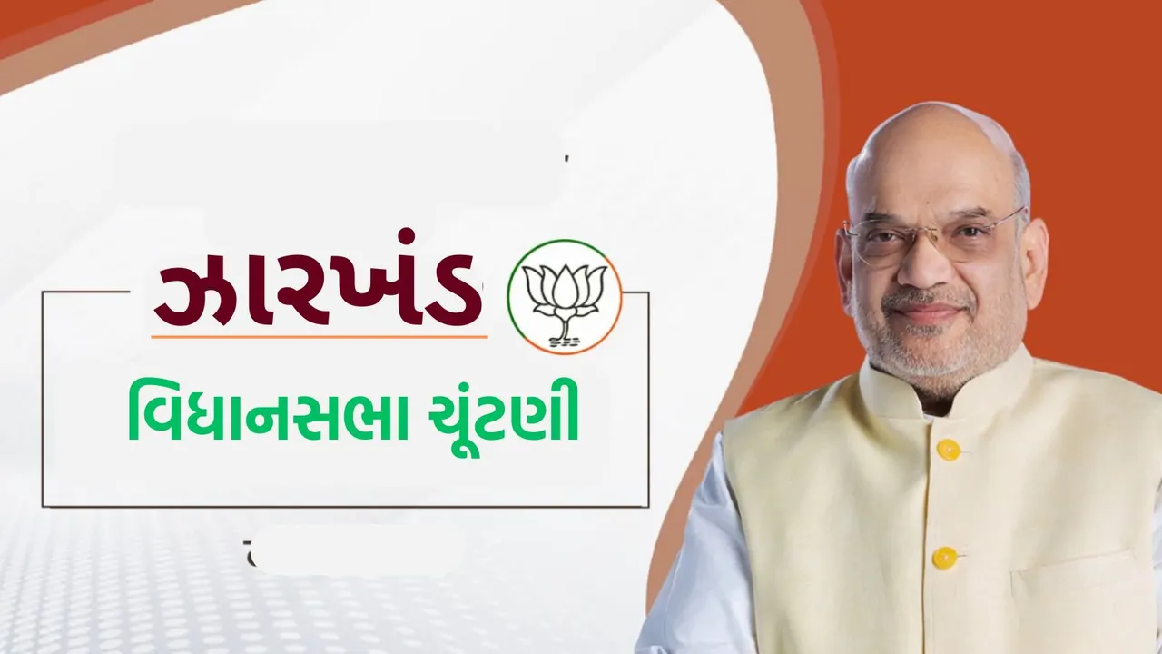 Amit Shah | Jharkhand Election 2024 | BJP Sankalp Patra | Amit Shah News