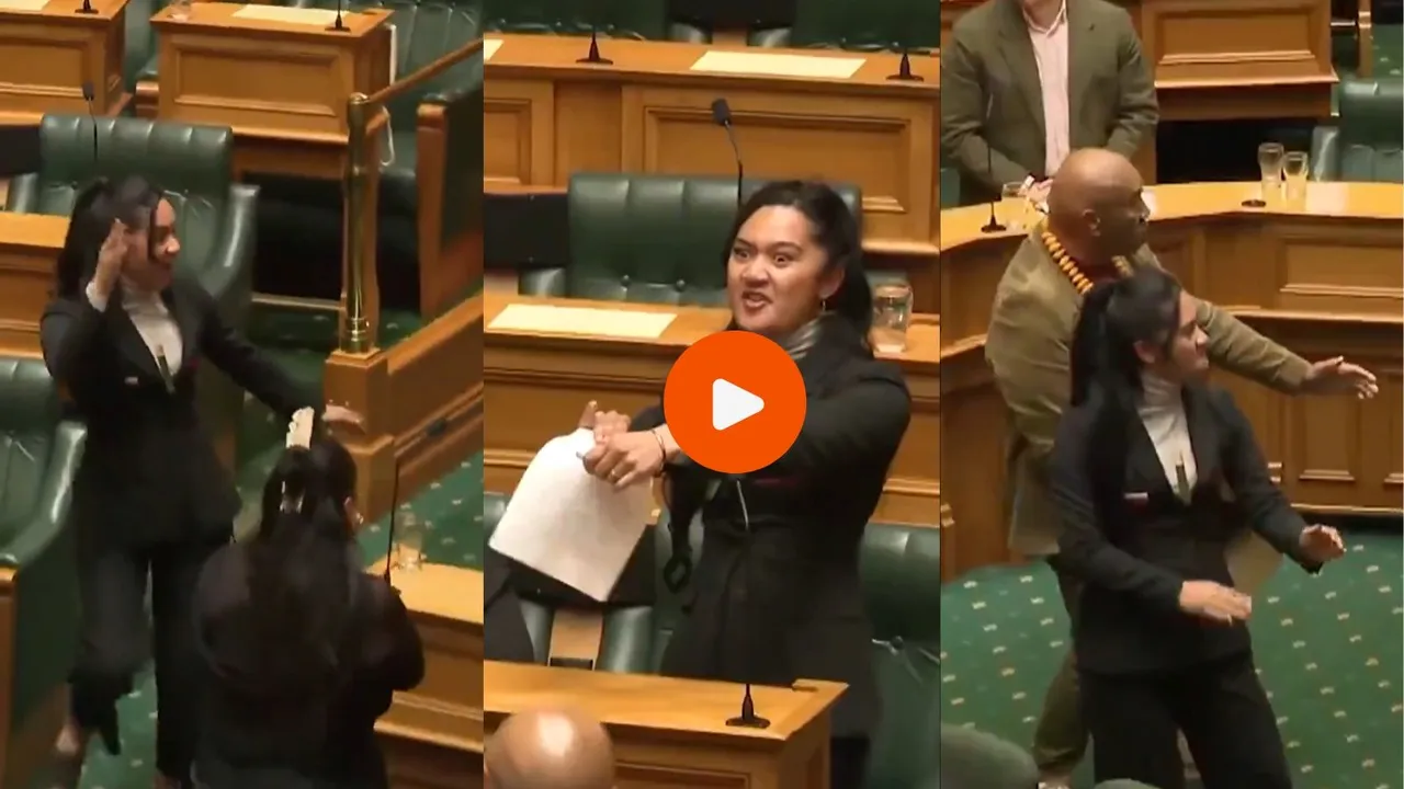 New Zealand MP dance, Maori dance, haka dance,