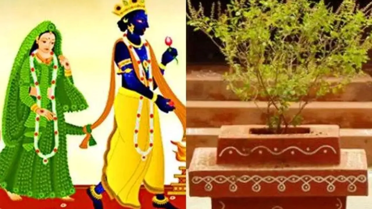 Tulsi Vivah 2024 Date, Tulsi Vivah