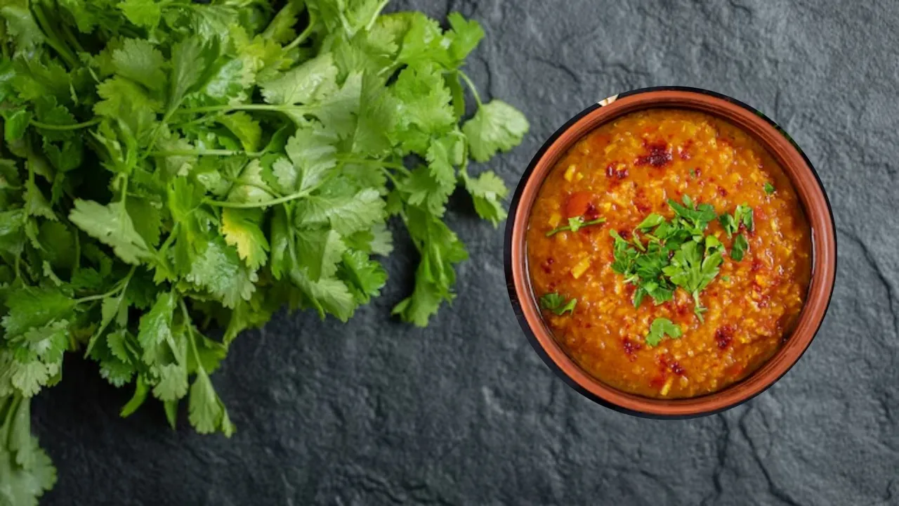 kitchen tips in gujarati | coriander leaves | how to use coriander leaves cooking | how to use coriander leaves in sabji | coriander leaves | coriander leaves boiled water benefits | coriander leaves in gujarati | coriander leaves nutrition | coriander leaves price | Fresh coriander leaves benefits