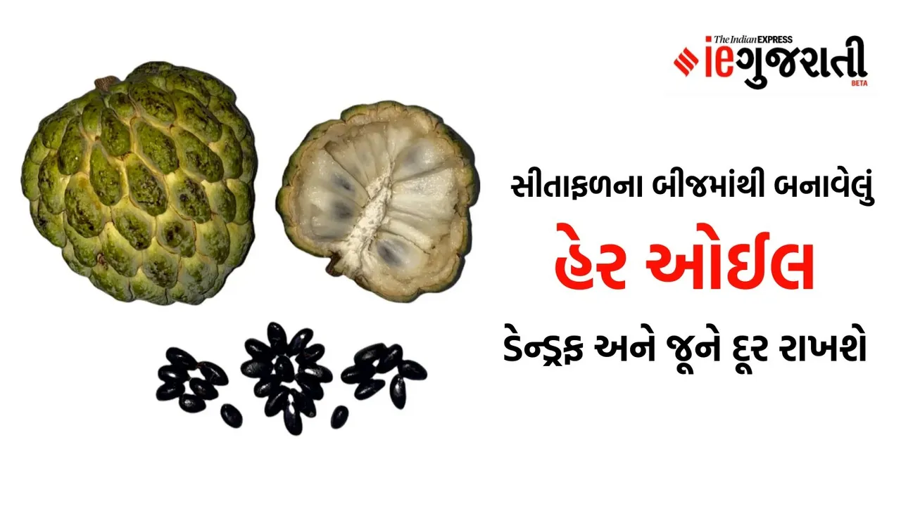 How to use custard apple seeds for lice, સીતાફળના બીજ
