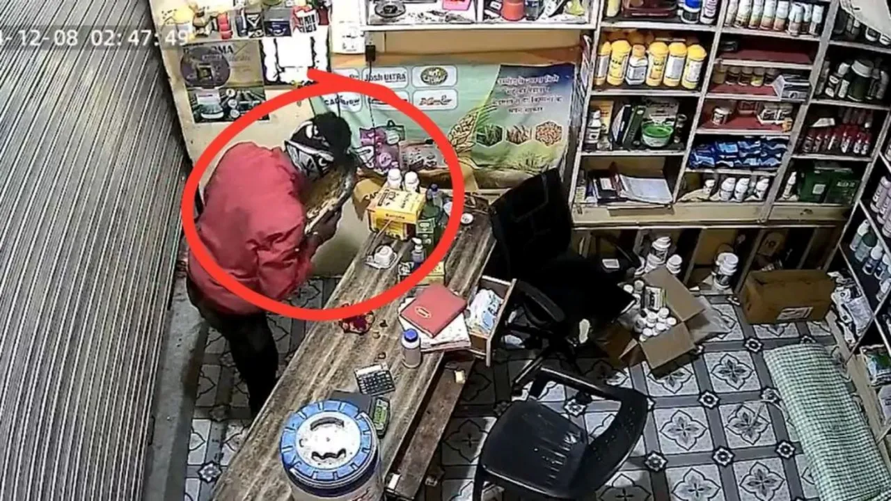 MP theft viral video, theft in Betul, theft incident, CCTV footage of theft,