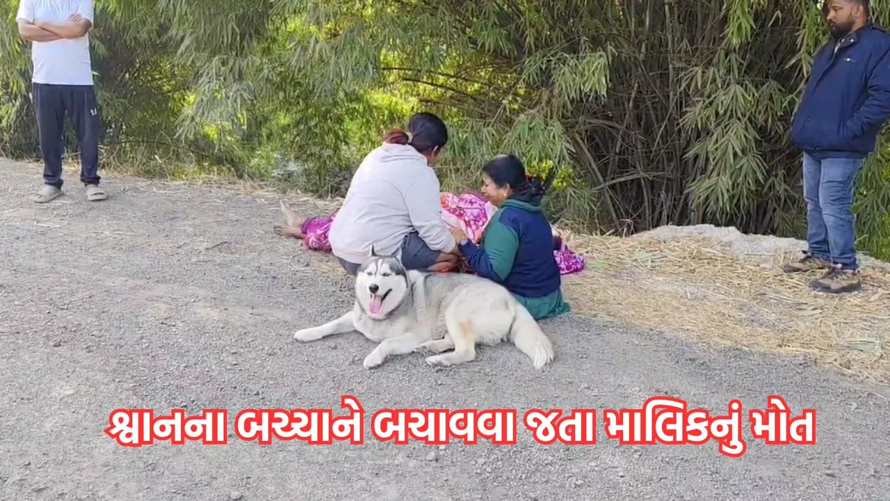 Dog lover death, death due to drowning, German Shepherd,