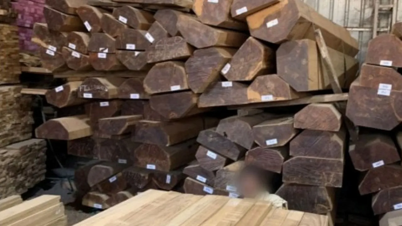 Gujarat, Pushpa Style, Wood Theft, Wood Smuggling,