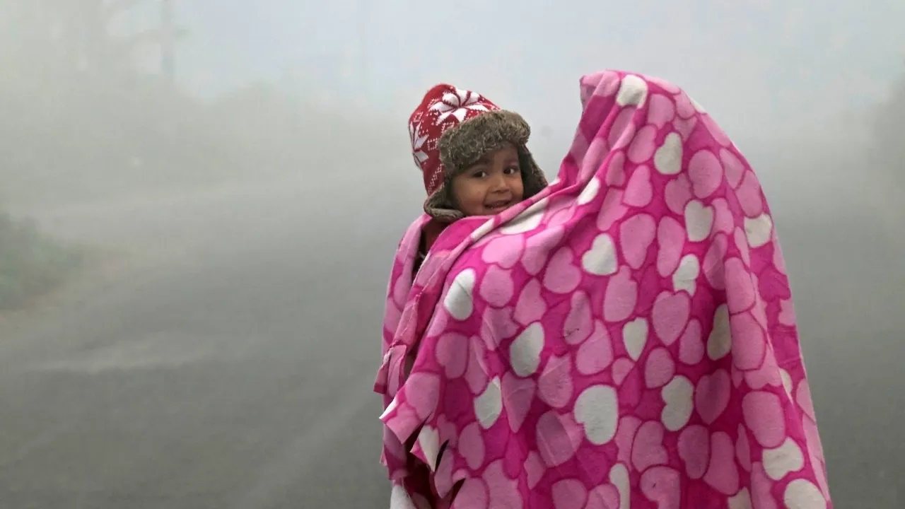 Gujarat winter update, Gujarat Weather Forecast, Weather Update in Gujarati,