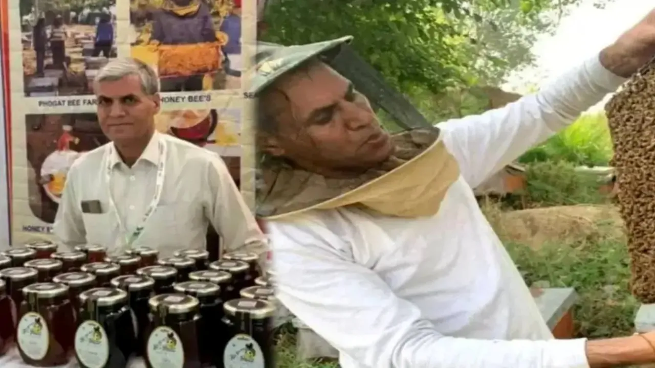 Beekeeping, honey business, honey farming,