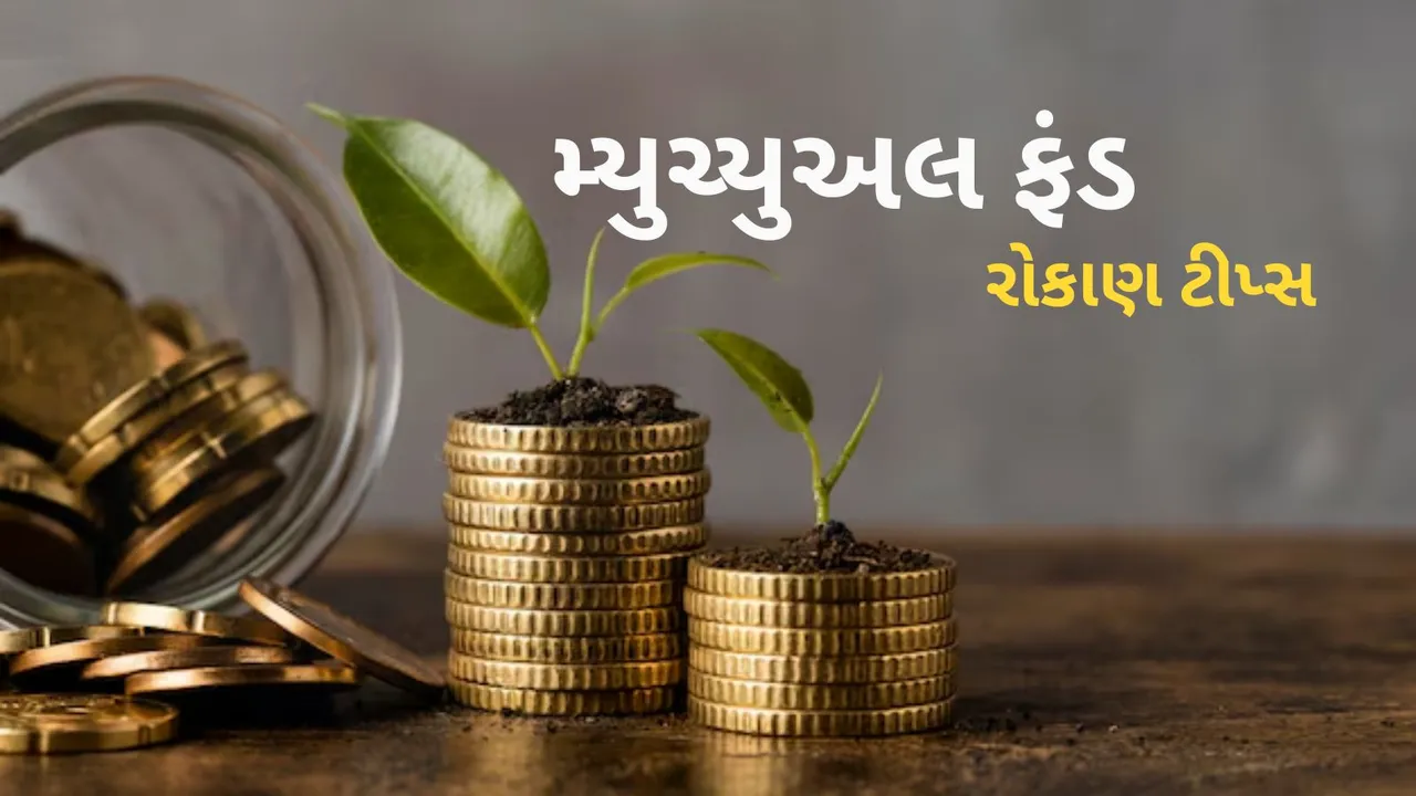 Mutual Fund Investment Tips | Mutual Fund risk | MF Investment Tips