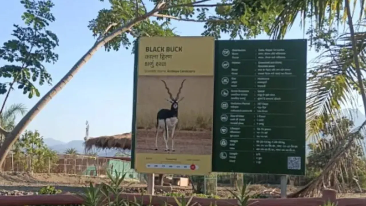 Statue of Unity Sardar Patel Zoological Park, Leopard kills black deer,