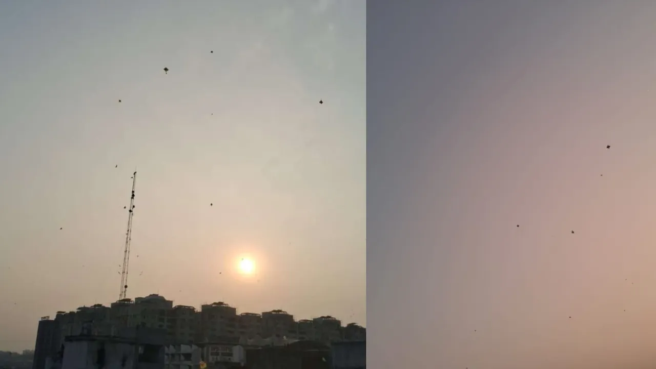 Uttarayan Celebrates, Uttarayan 2025