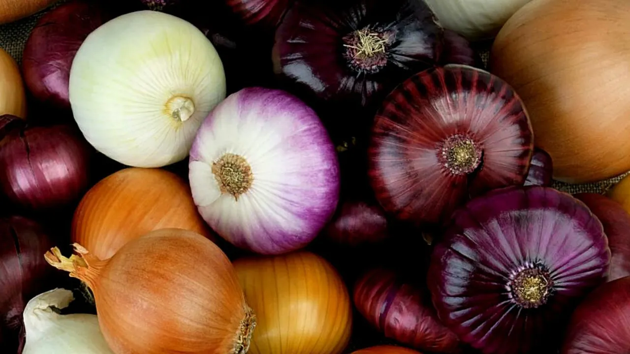 Onion summer health tips