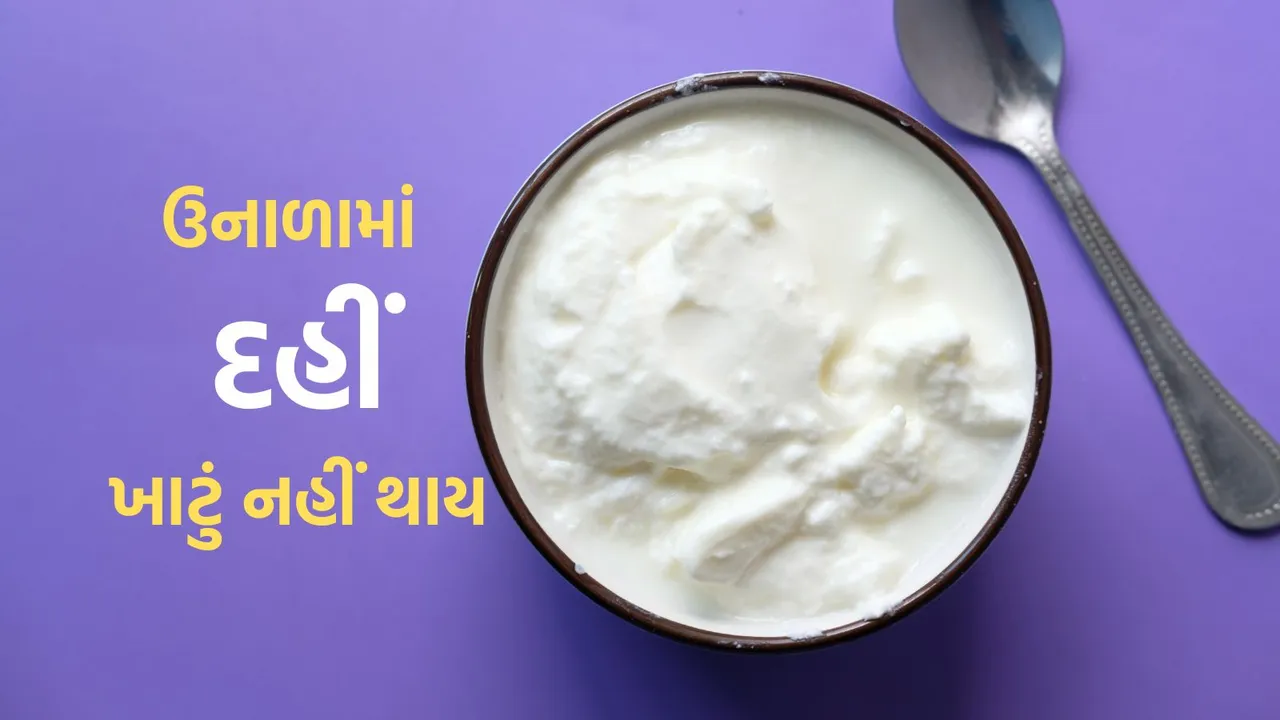 Curd Storage Tips | Curd Storage Summer Tips | How to Curd Storage In Summer | curd benefits | yogurt benefits in summer | Kitchen Tips | health tips