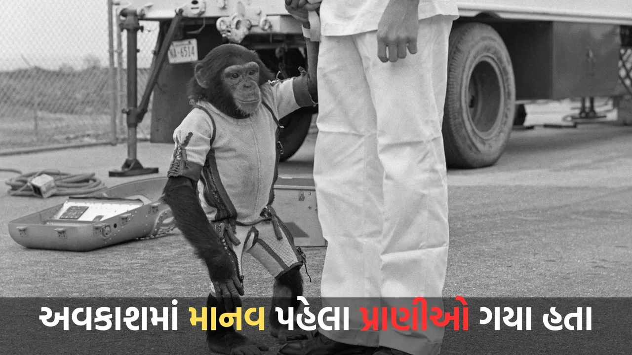 Space Missions | Animals in space