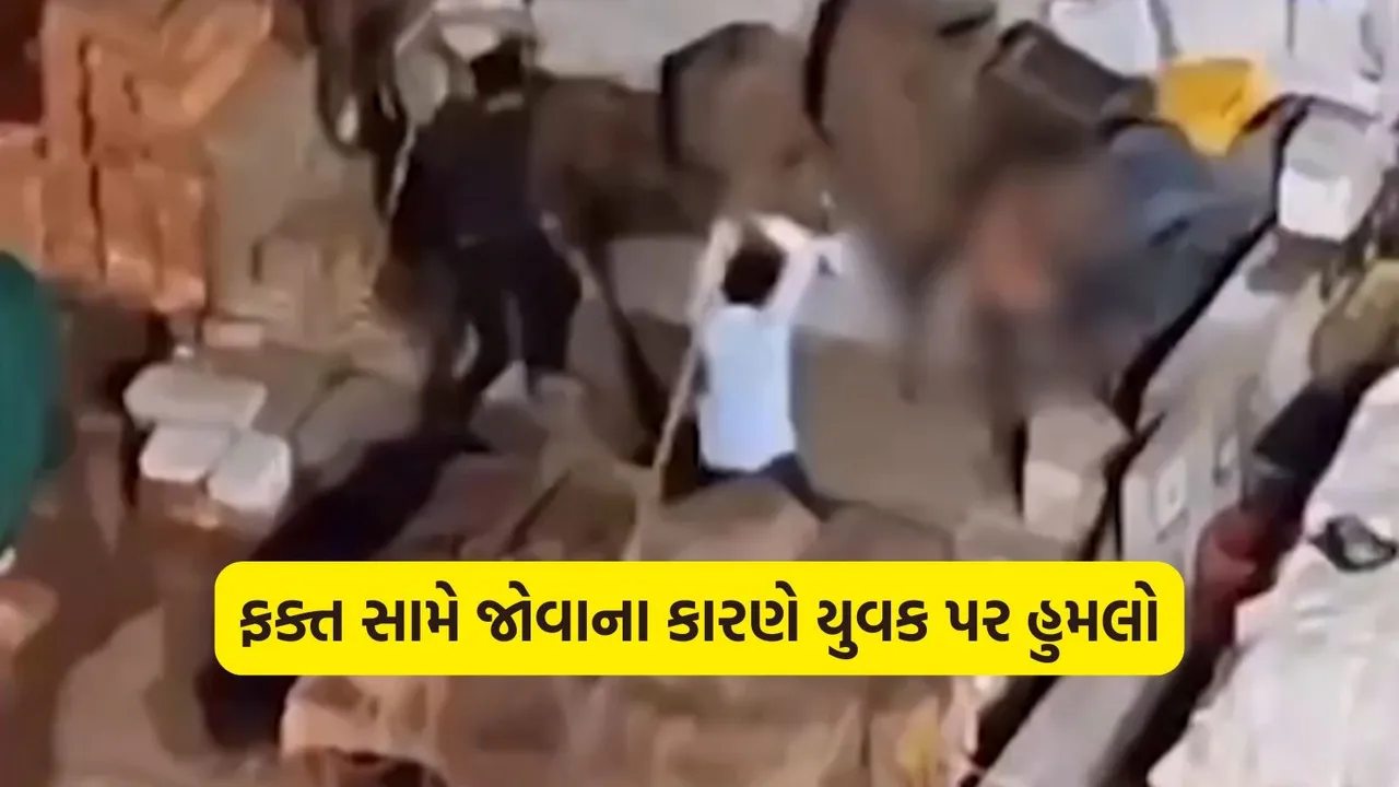 Ahmedabad Crime News, Ahmedabad News,