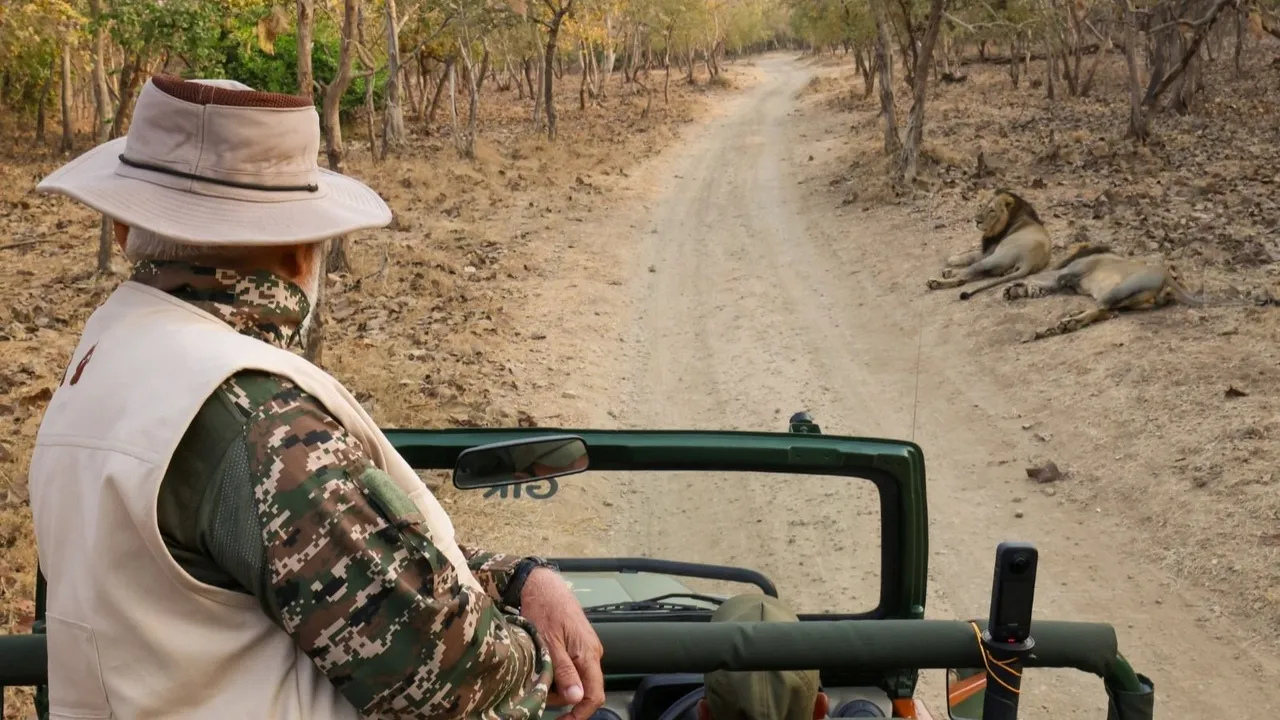 How much does Gir safari cost, Which city is closest to Gir National Park