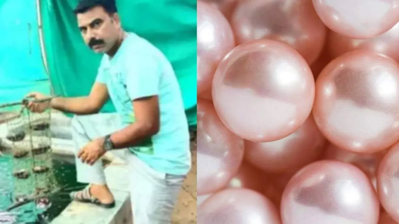 Success Story, Narendra Kumar Girwa, rajasthan farmer