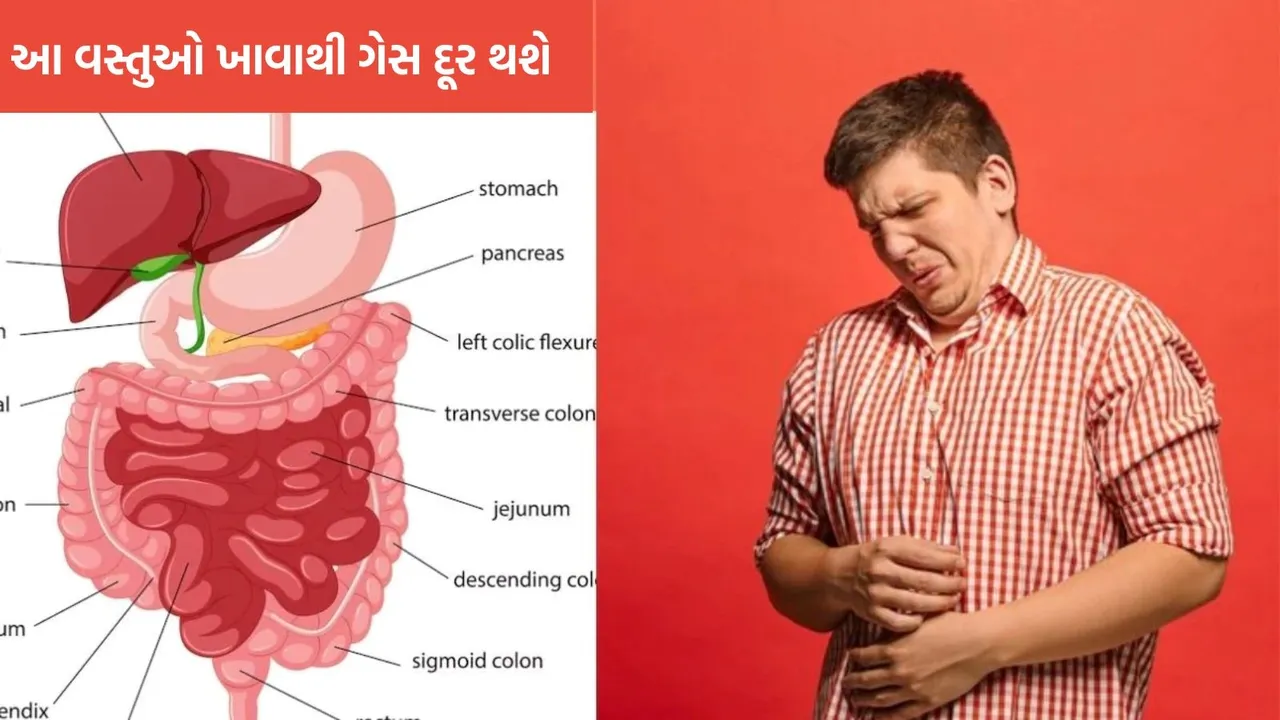 bloating, foods to reduce bloating