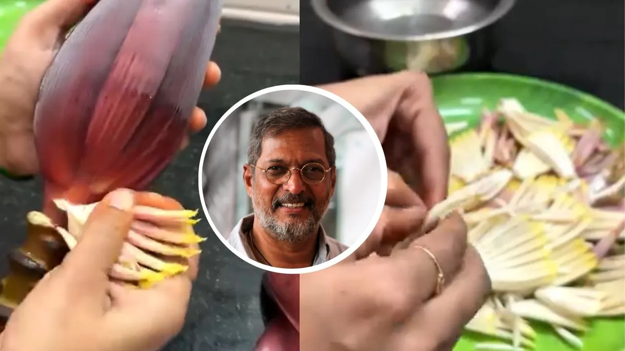 kele ke phool ki sabji, Nana Patekar,