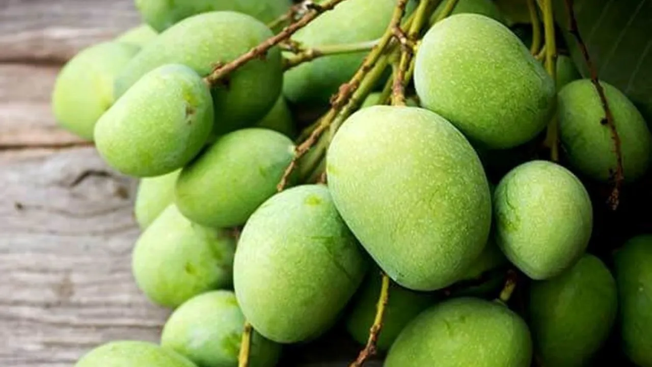 recipes, row mango, Raw mango marmalade, mango pickle,