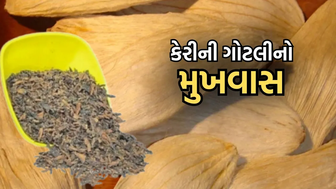 How To Make Mango Kernels Mouth Freshener, gotli no mukhwas