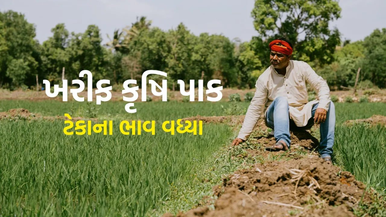 Kharif Crop MSP Hike | Kharif Crop MSP Price | crop Minimum support price | Farmer | agriculture news