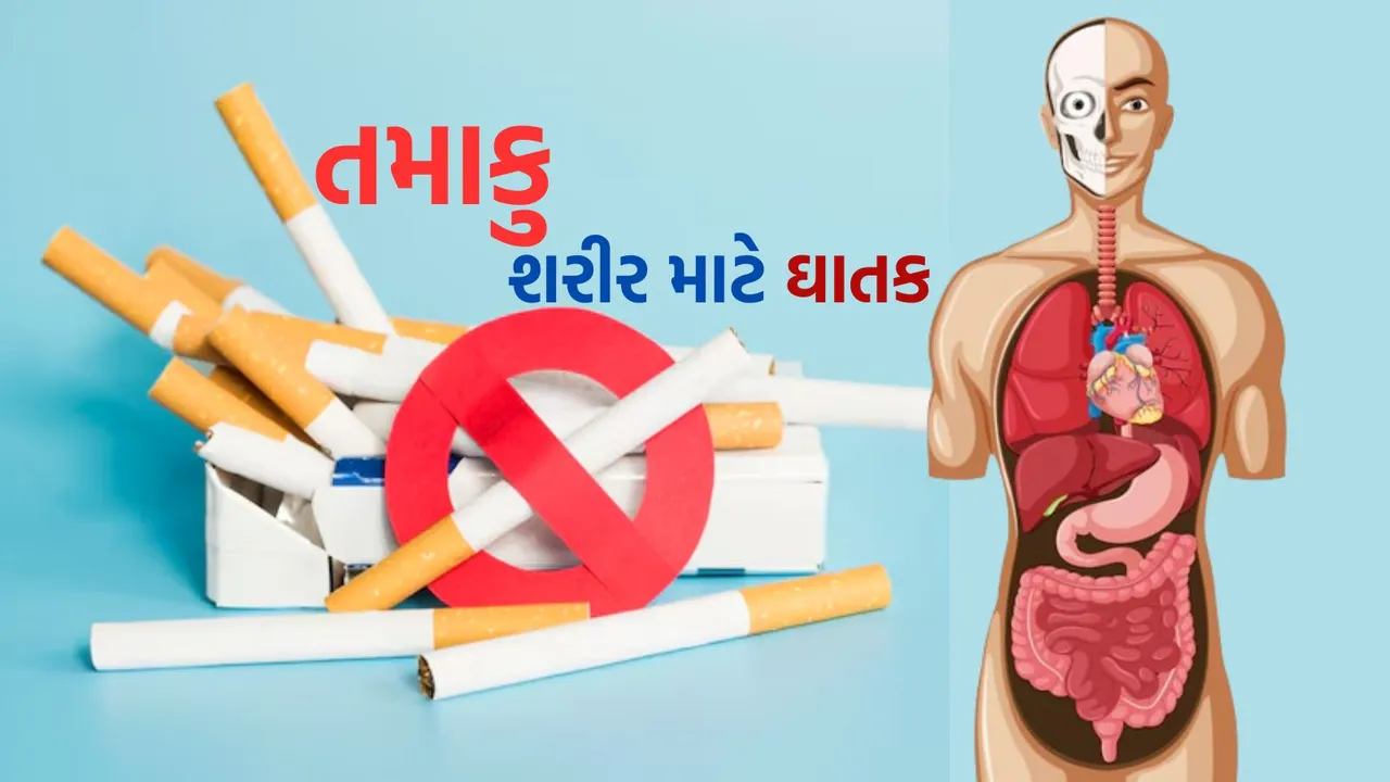 Side Effects Of Tobacco | World No Tobacco Day | tobacco disadvantages | harmful effects of tobacco