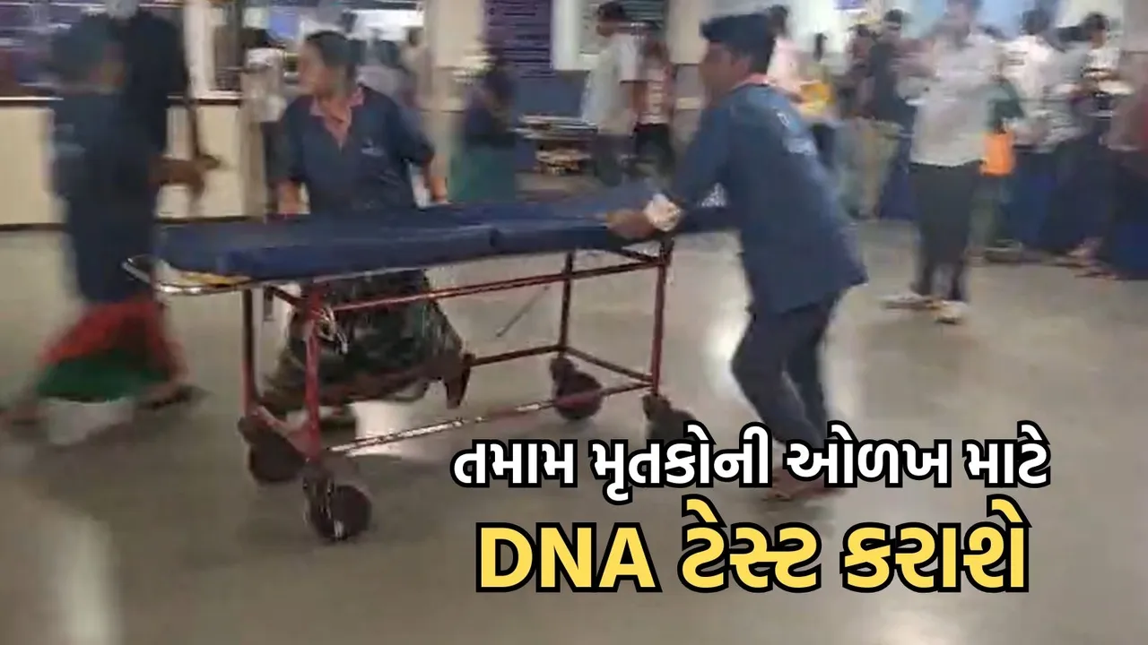 Ahmedabad plane crash, DNA test,