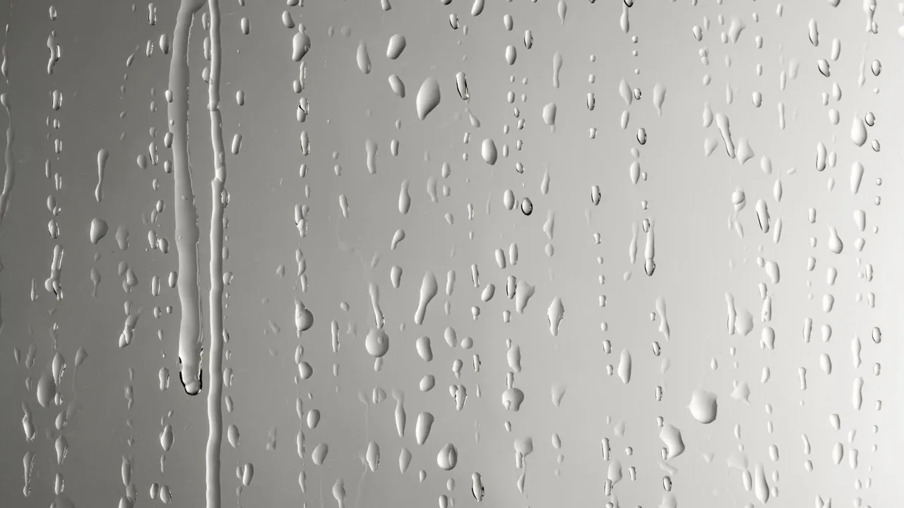 Best Ways to Reduce Humidity in Home, Reduce Humidity at Home