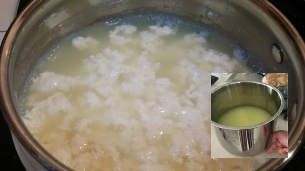water from curdled milk