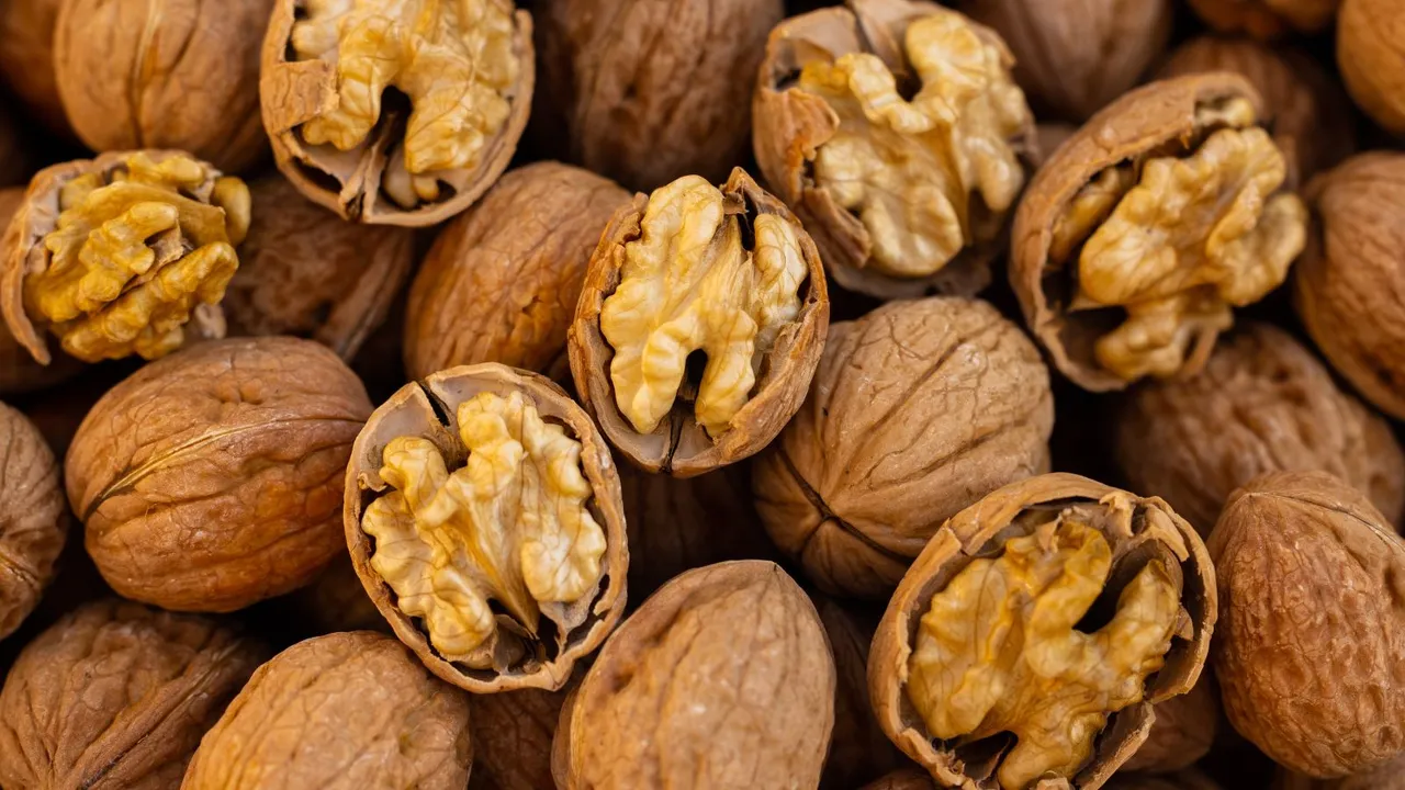 benefits of eating soaked walnuts in monsoon | soaked walnuts in monsoon | અખરોટ ખાવાના ફાયદા