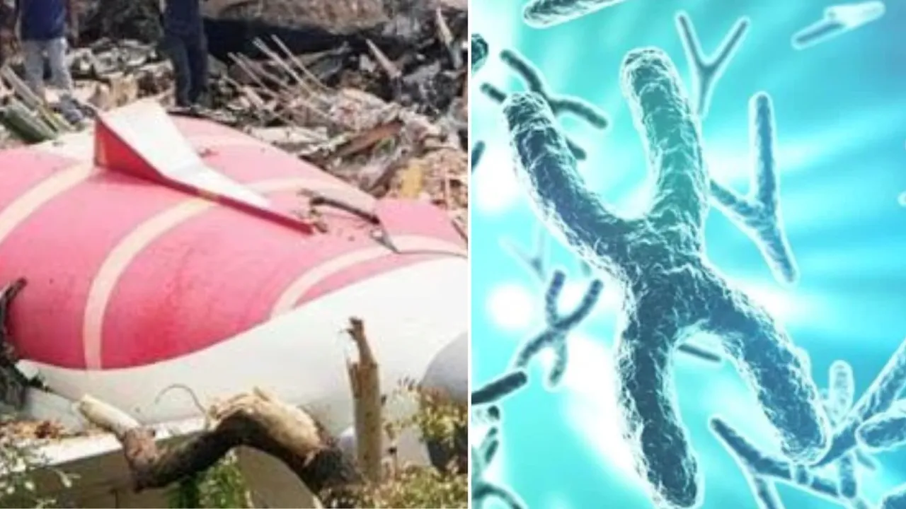 dna samples, dna, Ahmedabad Plane Crash