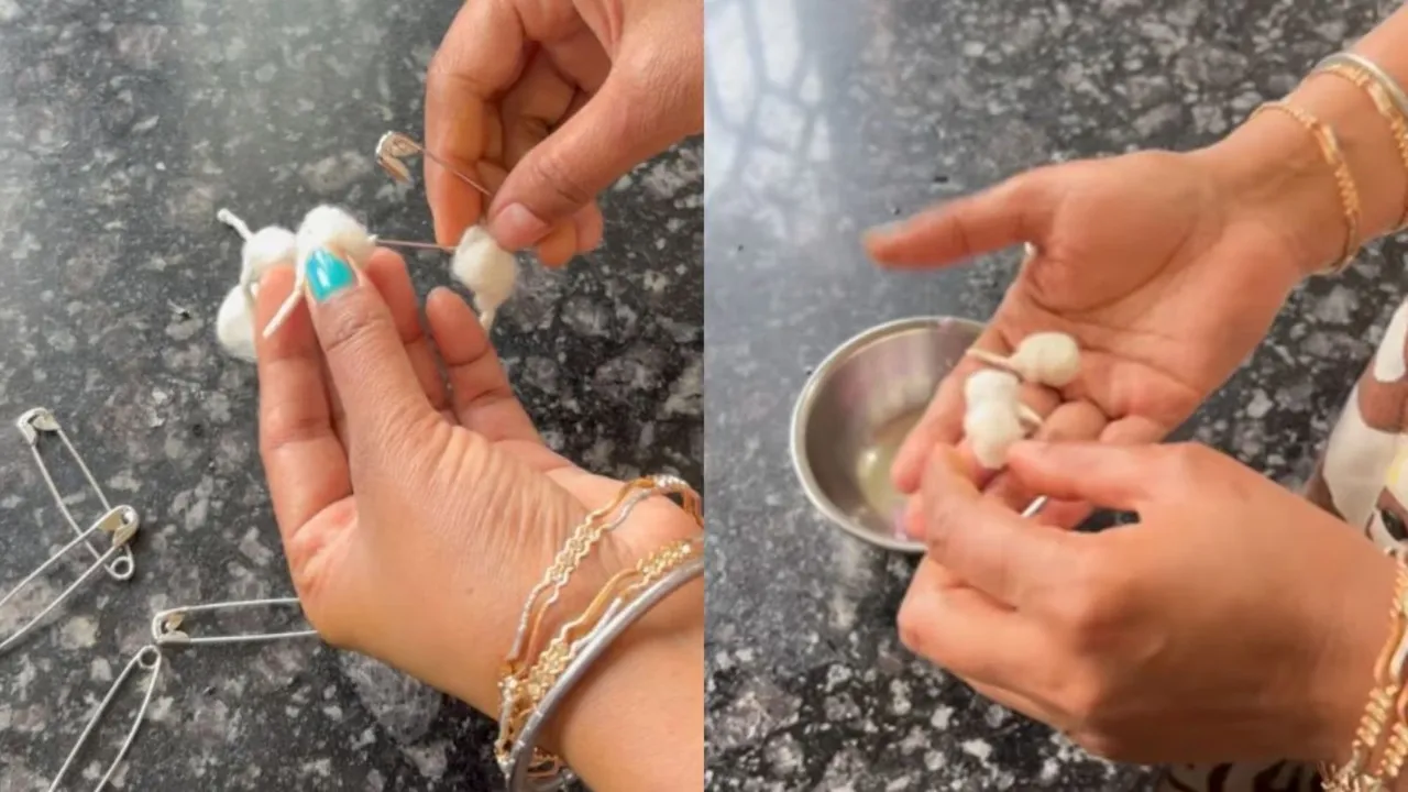 lizards run away from house, lizards run away from house desi jugaad