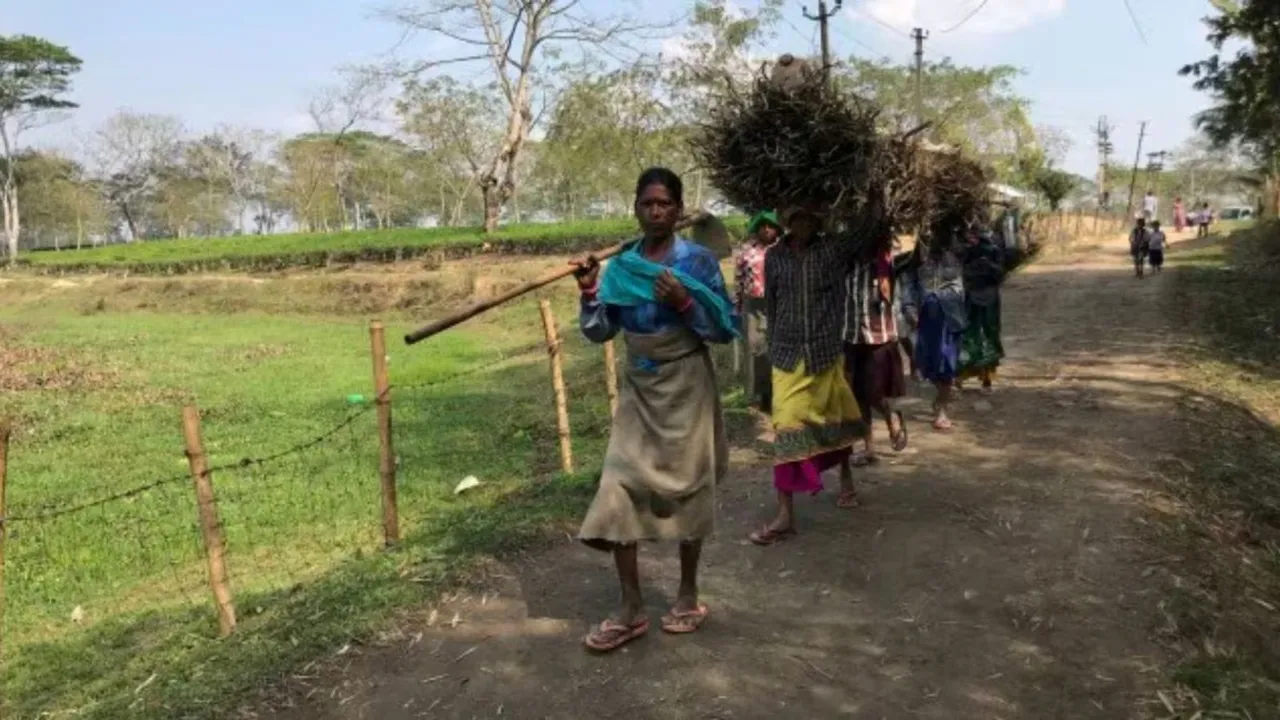 world bank, world bank poverty line