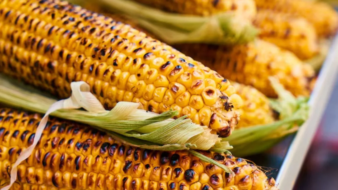 ચોમાસામાં દરરોજ શેકેલી મકાઈ ખાવાના ફાયદા