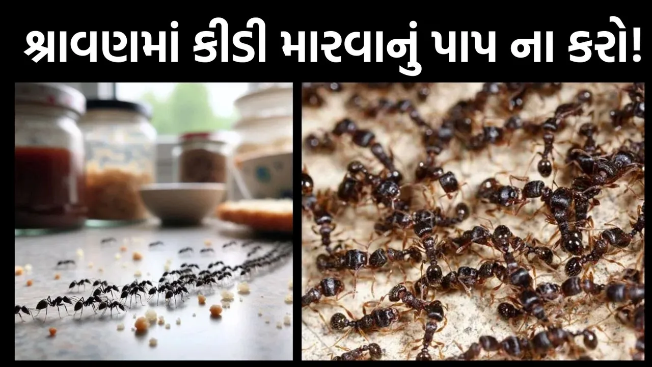 Chiti bhagane ke upay, કીડી ભગાડવાના ઉપાય