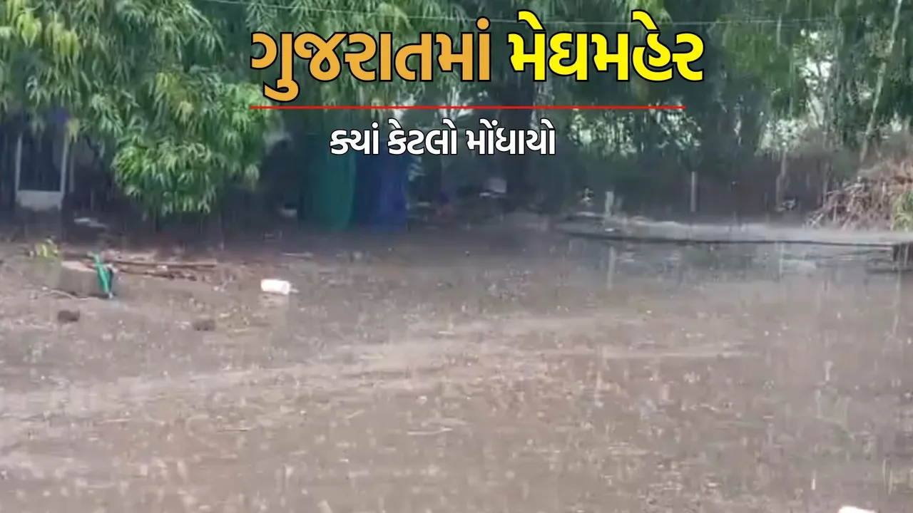 Today Gujarat heavy rain news in gujarati