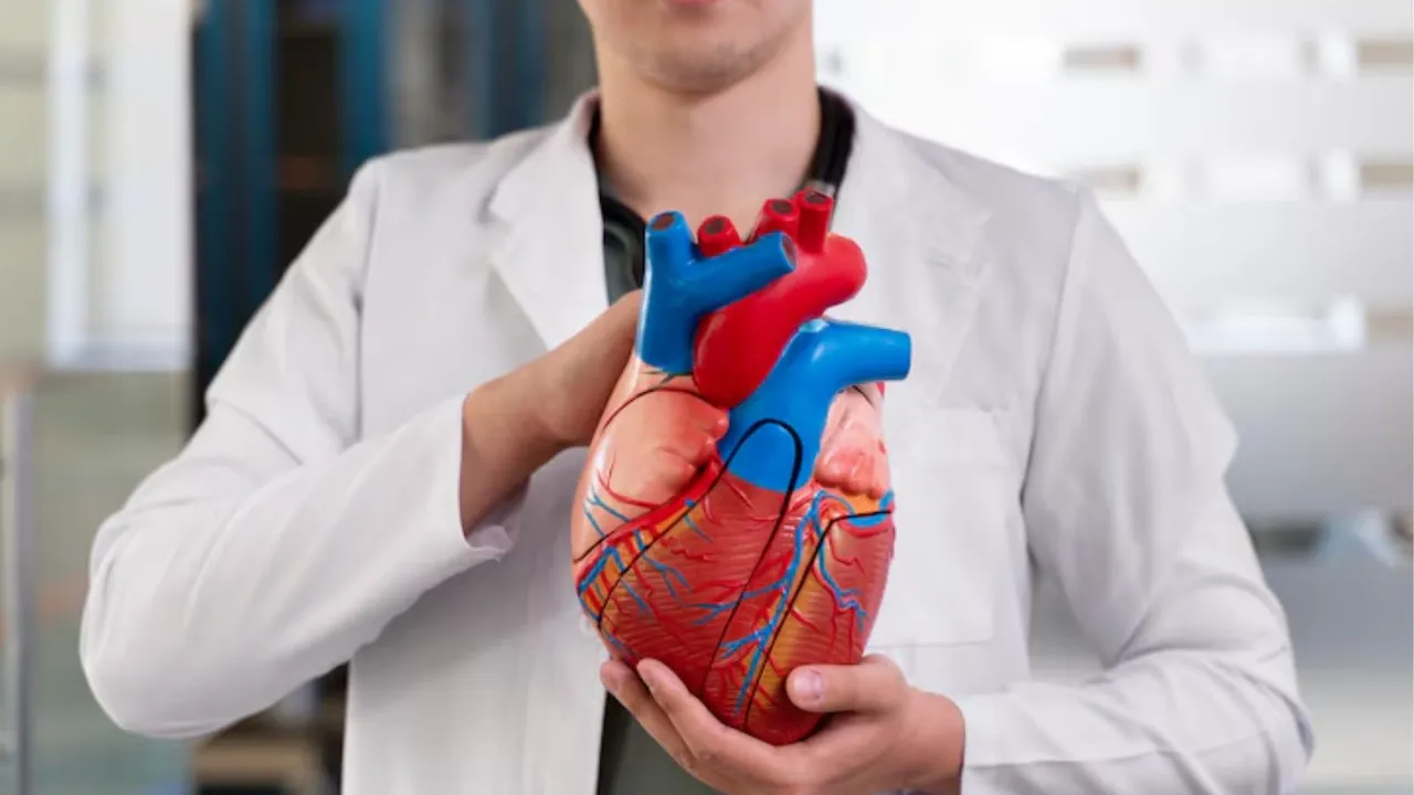 માનવ હૃદયનું મહત્વ અને સંભાળ ટિપ્સ