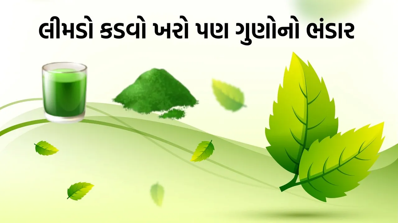 neem health benefits for the body
